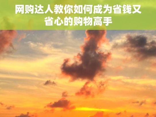 网购达人教你如何成为省钱又省心的购物高手