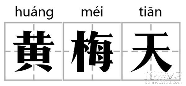 黄梅天不想“触霉头 ”：这份防潮除湿攻略，让你杜绝长黑斑