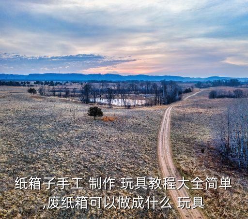 纸箱子手工 制作 玩具教程大全简单,废纸箱可以做成什么 玩具