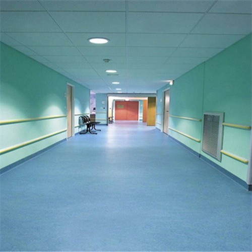 4464540.jpg