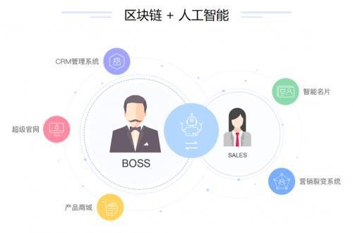 全方位解读：商超AI智能产品精选指南与功能特点详细介绍