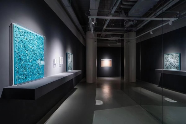 展览现场,左一为杨心广的《土壤之上(幻彩蓝绿)》
