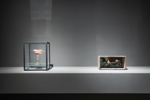 展览现场,陈小丹的作品《盛开——墙系列 2021》(右)与卡斯滕·霍勒的《双重蘑菇窗(一褶)》