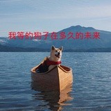 彼岸的光阴岁月