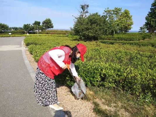 荣成经济开发区：树立节能环保意识 践行绿色生活方式