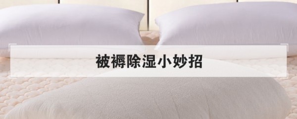 被褥除湿小妙招