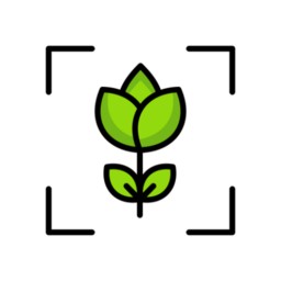 专注自律官方版