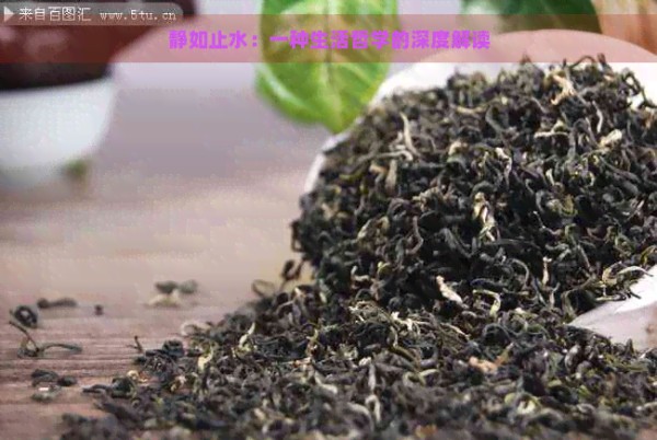 静如止水：一种生活哲学的深度解读