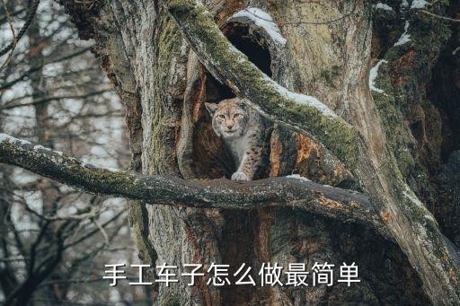  手工车子怎么做最简单