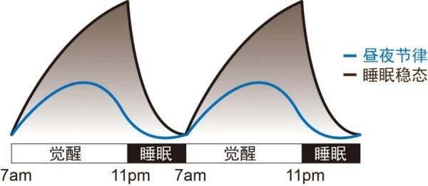 最好的休息便是睡眠丨世界睡眠日