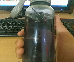灵芝泡茶-老年人提升免疫力佳品的做法