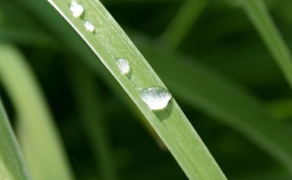 雨水节气怎么养生？雨水节气调神养生的方法有哪些？(1)