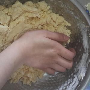 香草沙布雷(简约传统的欧式小饼干)的做法 步骤5