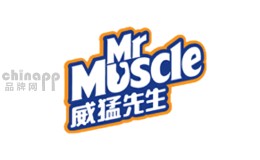 家用消毒液十大品牌-威猛先生MrMuscle