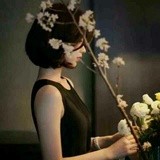 木晚风