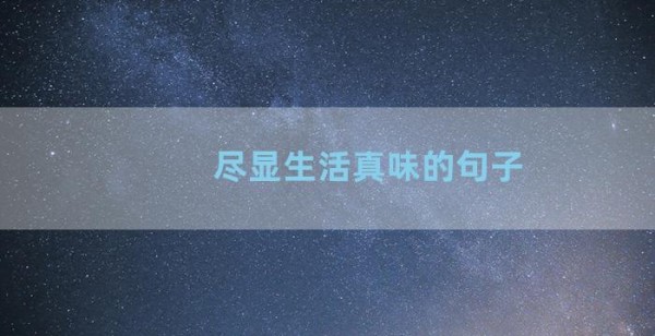 尽显生活真味的句子