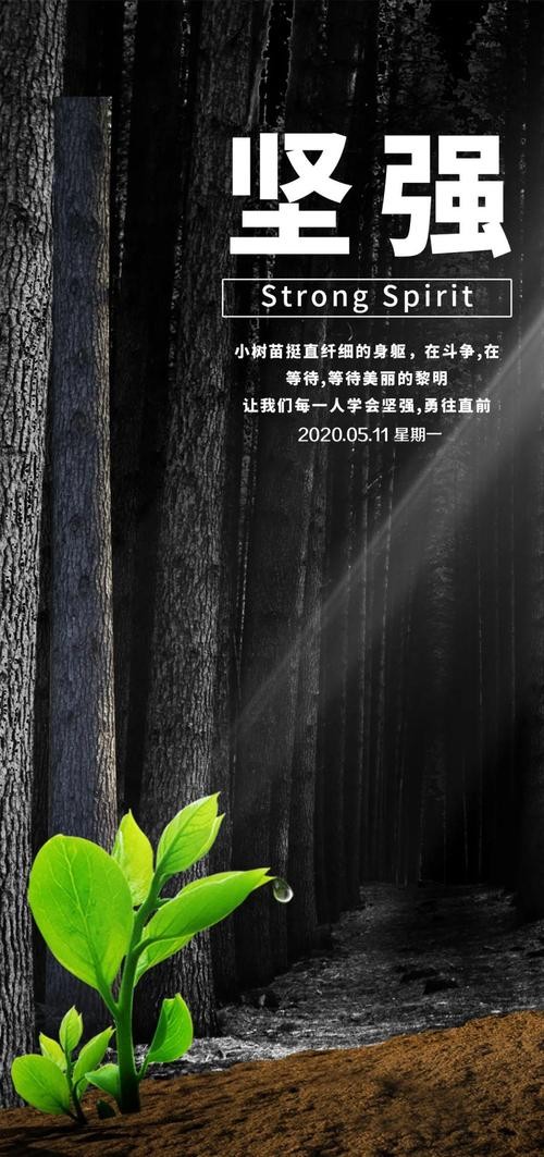 状态好的正能量的短句（正能量之美——积极心态创造的生活）