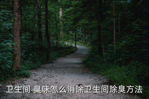 卫生间 臭味怎么消除卫生间除臭方法
