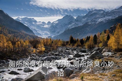  厕所除臭有哪些方法 厕所除臭小妙招