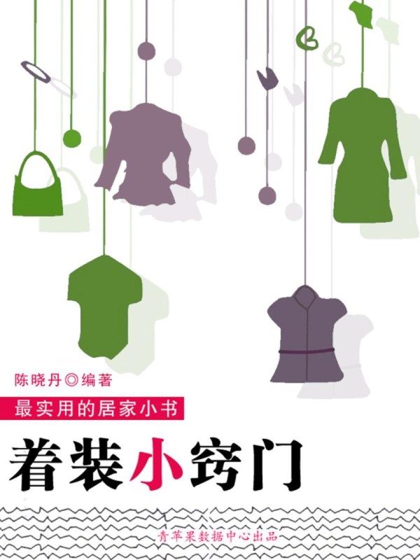 着装小窍门(实用的居家小书)