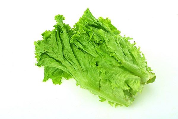 生菜4.jpg