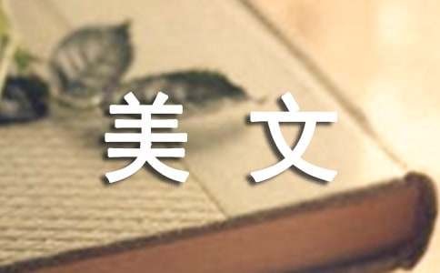 宁静的生活美文