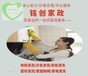 铭创家政清洗沙发,清洗酒店沙发