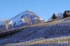 兰花一般家中养几盆好？养护技巧全解析