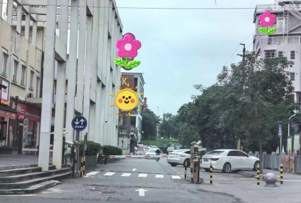 东莞市大朗镇犀牛陂村元岗路163号至190号道路。受访者供图