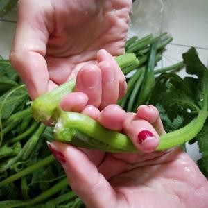 蒜蓉南瓜藤（附：撕瓜藤技巧）的做法 步骤2