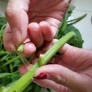 蒜蓉南瓜藤（附：撕瓜藤技巧）的做法 步骤3