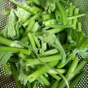 蒜蓉南瓜藤（附：撕瓜藤技巧）的做法 步骤6