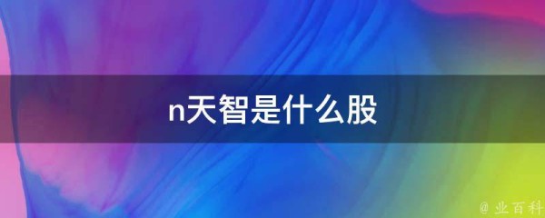 n天智是什么股