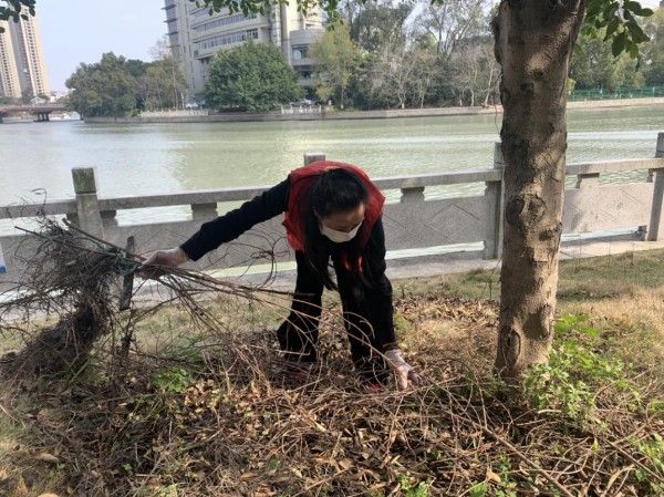 微信图片_202003051500432