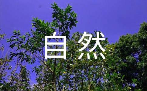 自然与生活作文600字