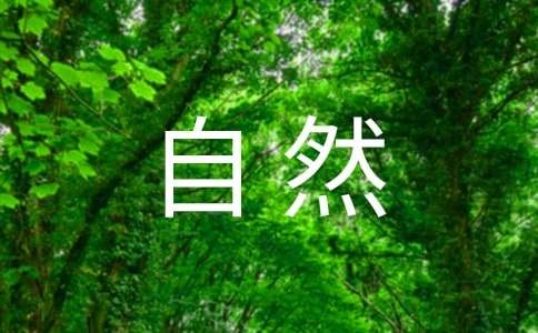 人与自然和谐相处的发言稿