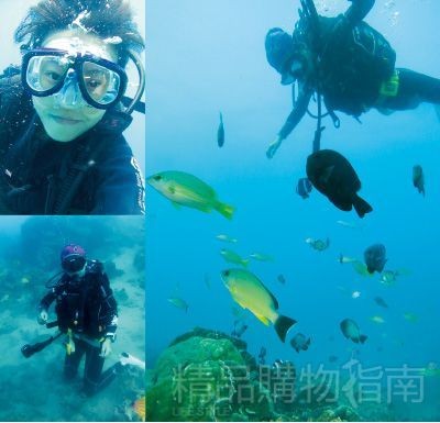 梦幻潜水