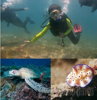 在海底的纯净中忘我享受