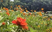 运动：大学生心理的“阳光雨露”