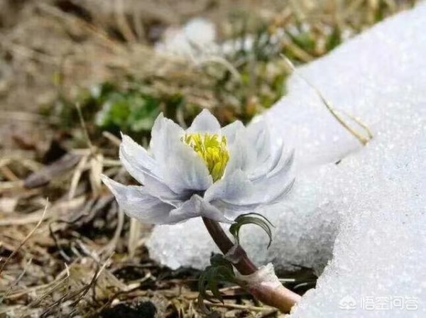 怎么样的生活才算有品质的生活？