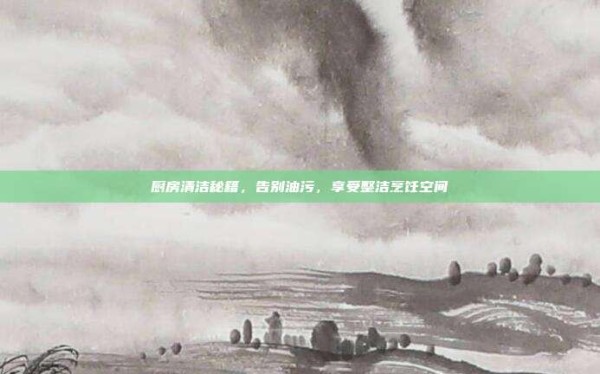 厨房清洁秘籍,告别油污,享受整洁烹饪空间