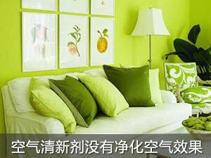 揭空气清新剂的真实作用