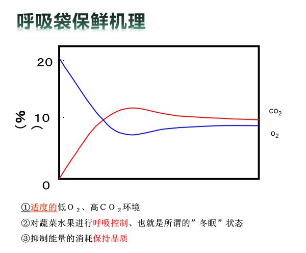 1-19122609560DW.png