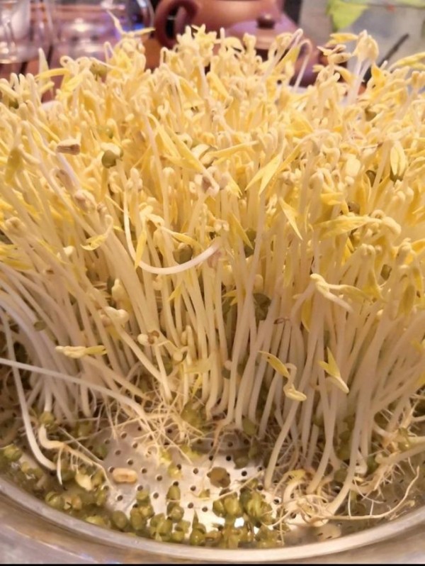 沥水篮发豆芽的做法