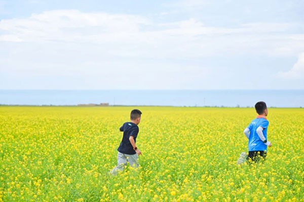 青海湖房车奇遇记游学夏令营6天