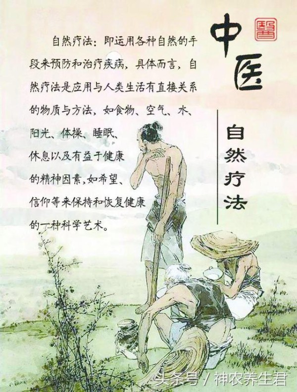 大道至简，自然疗法——自然养生包含哪些方法