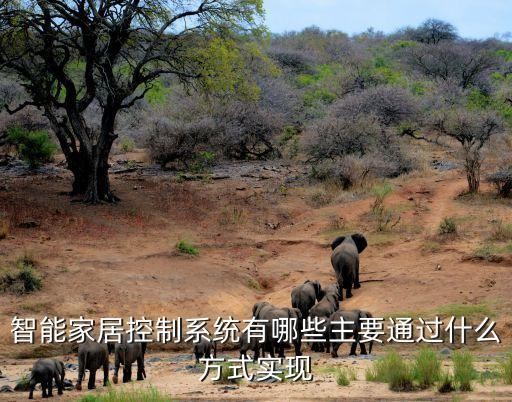 智能家居控制系统有哪些主要通过什么方式实现