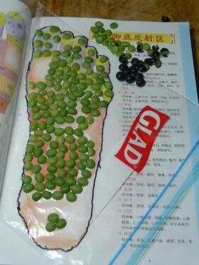 1、将旧 佳能密实袋 剪开，铺在《脚底反射区图谱》上面，用笔勾勒出脚底面的隆廓，剪去多余的塑料。 2、用万能胶将去皮的黑豆瓣粘在需要按摩的反射区内粘牢。