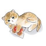 芒果味的多巴胺