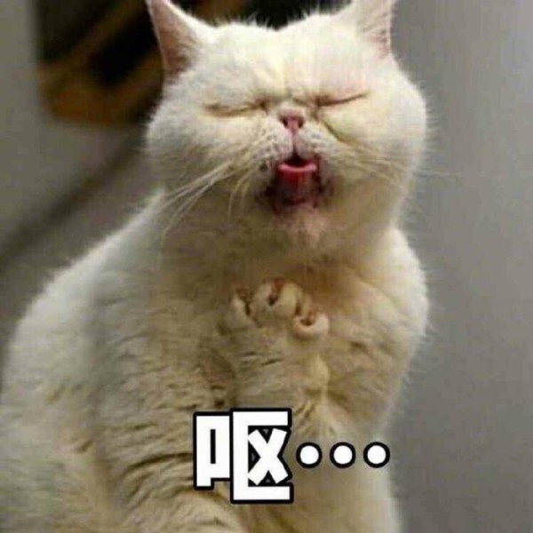 冰箱收纳秘籍，这么做容量瞬间大一倍！(已发）